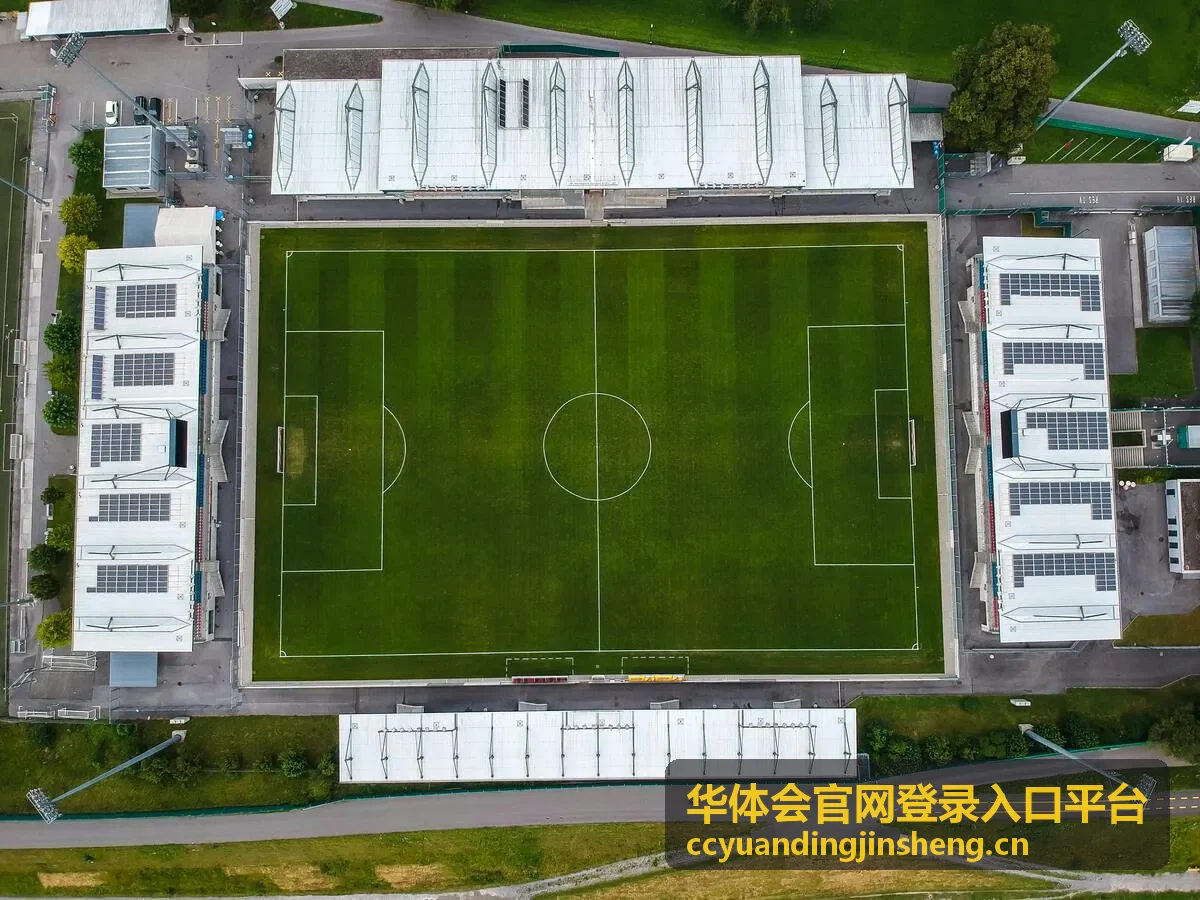 华体会官网登录入口平台的登录密码强度管理