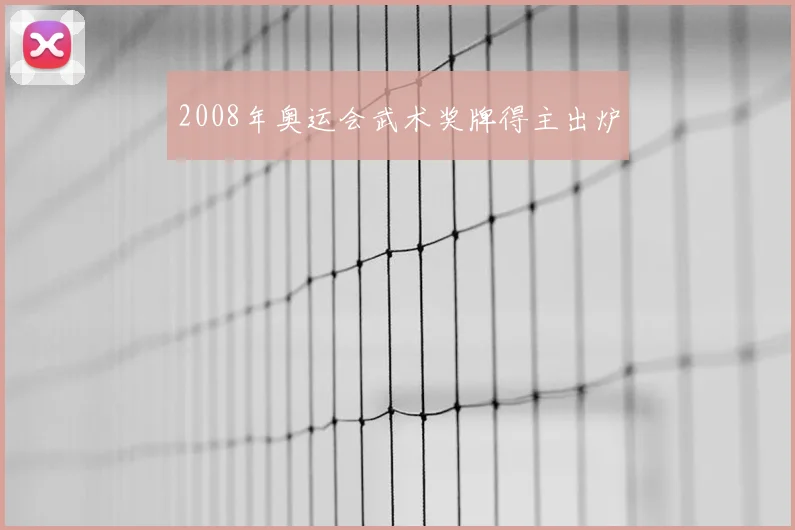 2008年奥运会武术奖牌得主出炉