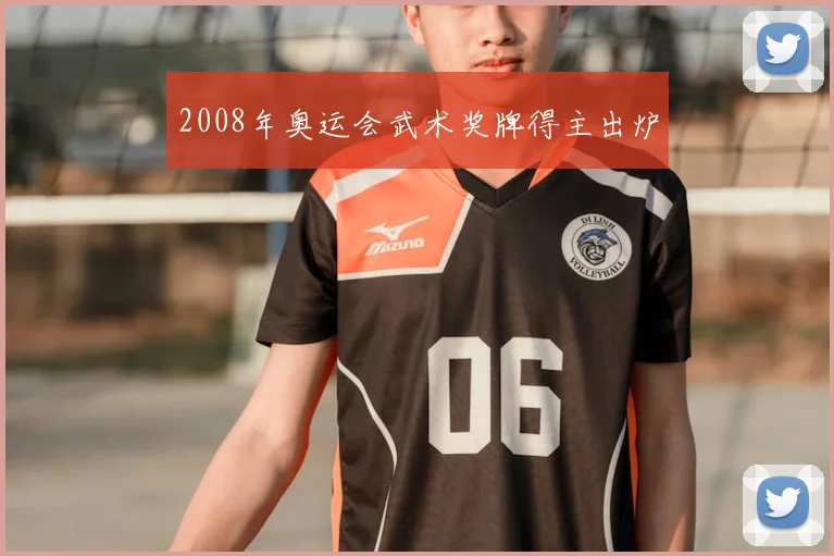 2008年奥运会武术奖牌得主出炉