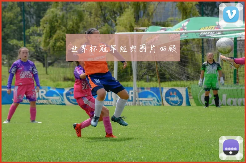 世界杯冠军经典图片回顾